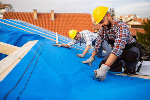 Best Roof Gutter Cleaning  in Meyersdale, PA